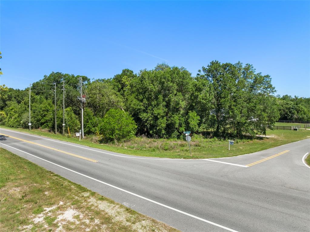 An empty, wooded corner lot sits at the intersection of two paved roads — Lot 1 HOJIN STREET, SORRENTO, FL