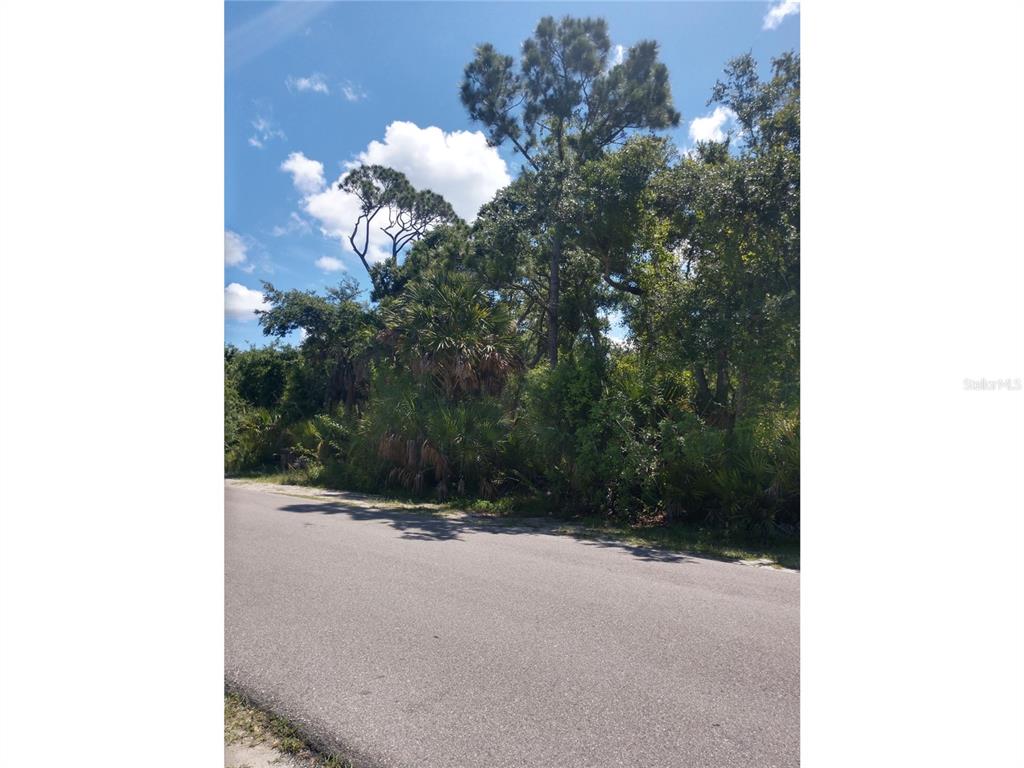 A paved road runs alongside a wooded lot with tall pine trees and dense vegetation — 1404 KENESAW STREET, PORT CHARLOTTE, FL