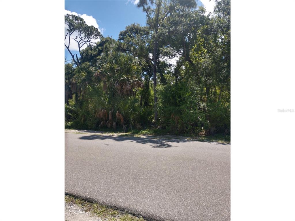 A paved road runs in front of a wooded lot with palm trees and pines — 1404 KENESAW STREET, PORT CHARLOTTE, FL