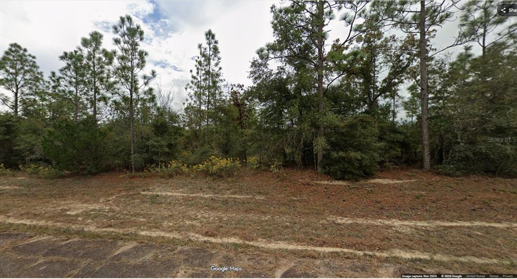 A wooded, undeveloped residential lot sits behind a paved road under a cloudy sky — Lot 44 Unit 8 Blk 495 DEVONSHIRE DRIVE, CHIPLEY, FL