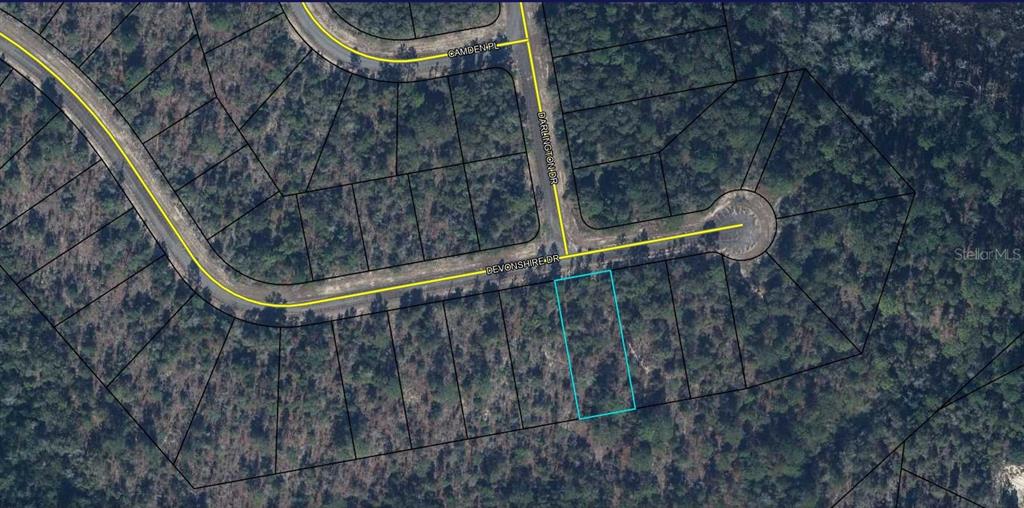 An aerial map view shows a vacant residential lot outlined in blue along a road — Lot 44 Unit 8 Blk 495 DEVONSHIRE DRIVE, CHIPLEY, FL