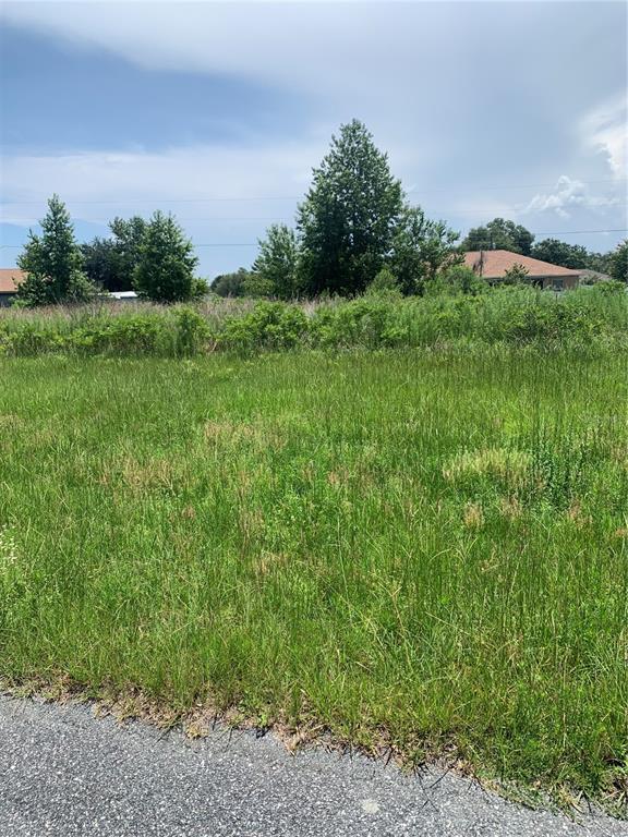 A grassy, undeveloped residential lot sits next to a paved road under a blue sky — TBD SW 47 TER, OCALA, FL
