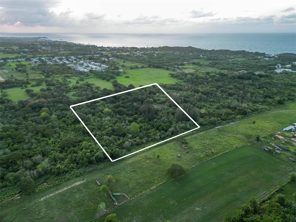 An aerial view shows a rectangular plot of land outlined in white amidst rural vegetation — Sector Melilla BO. ISLOTE, ARECIBO, PR