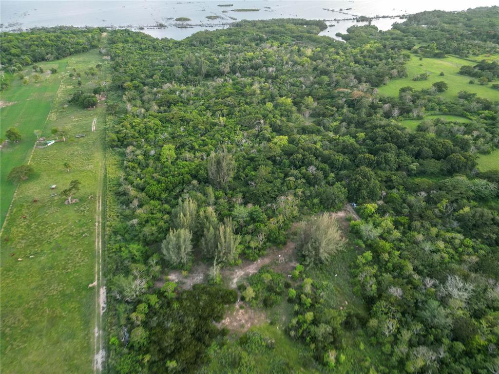 An aerial view shows a large, wooded lot bordering a grassy field and a body of water — Sector Melilla BO. ISLOTE, ARECIBO, PR