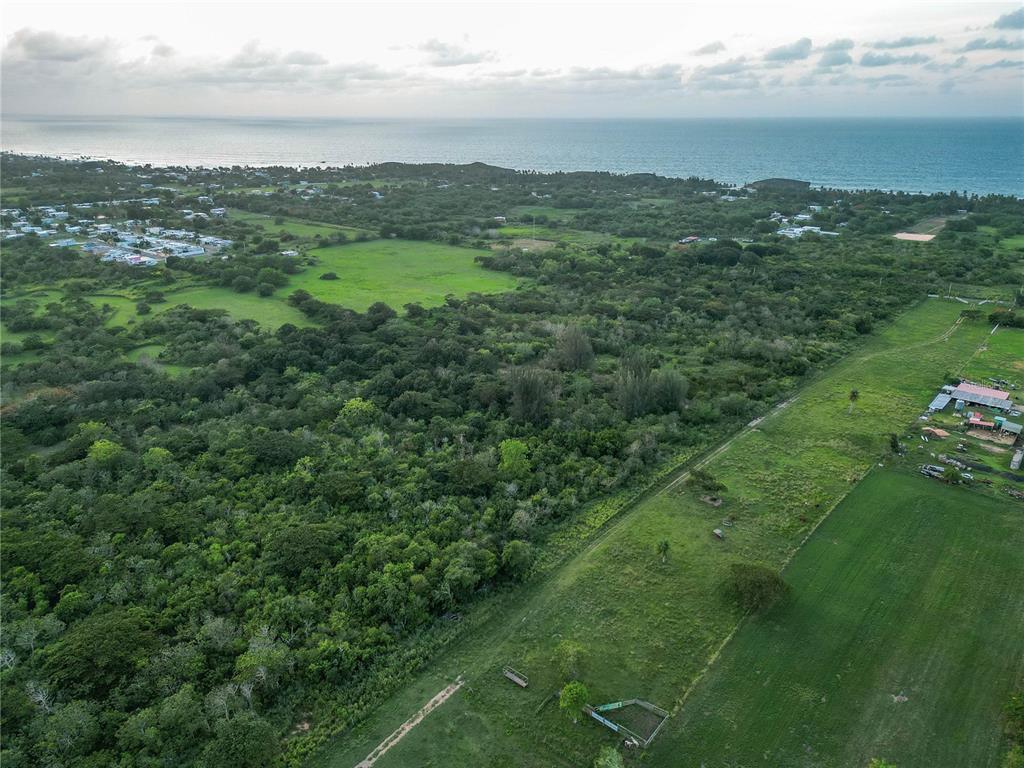An aerial view shows a large grassy field bordering a dense forest near the ocean — Sector Melilla BO. ISLOTE, ARECIBO, PR