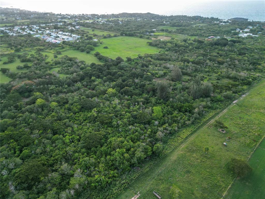 An aerial view shows a large, wooded plot of land adjacent to open grassy fields — Sector Melilla BO. ISLOTE, ARECIBO, PR