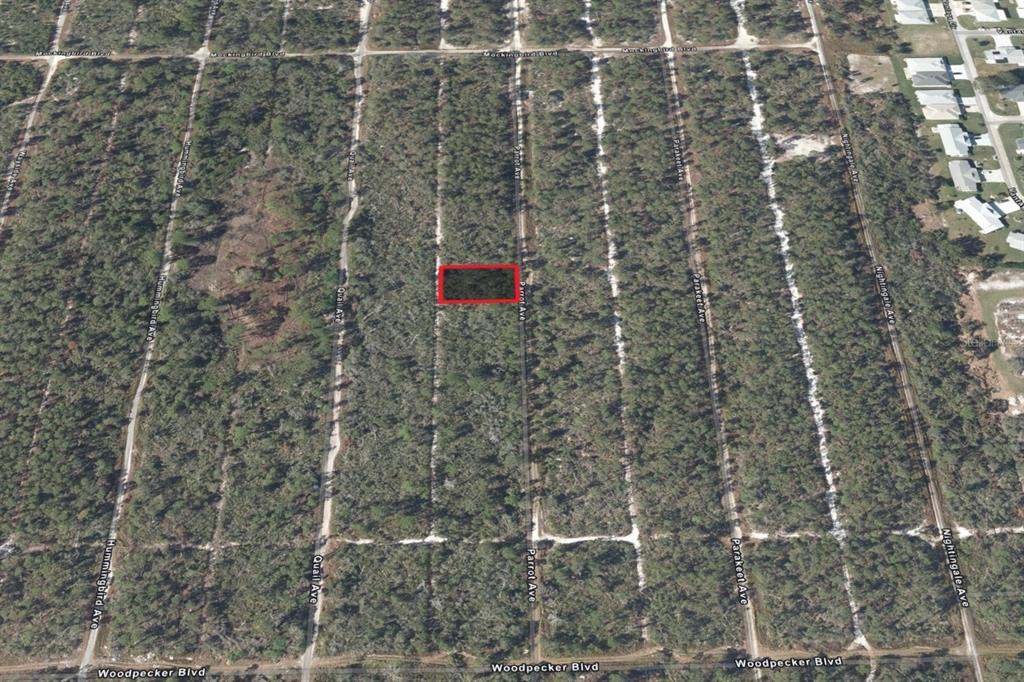 An aerial map view shows a rectangular lot highlighted in red within a wooded area — 533 PARROT AVENUE, SEBRING, FL