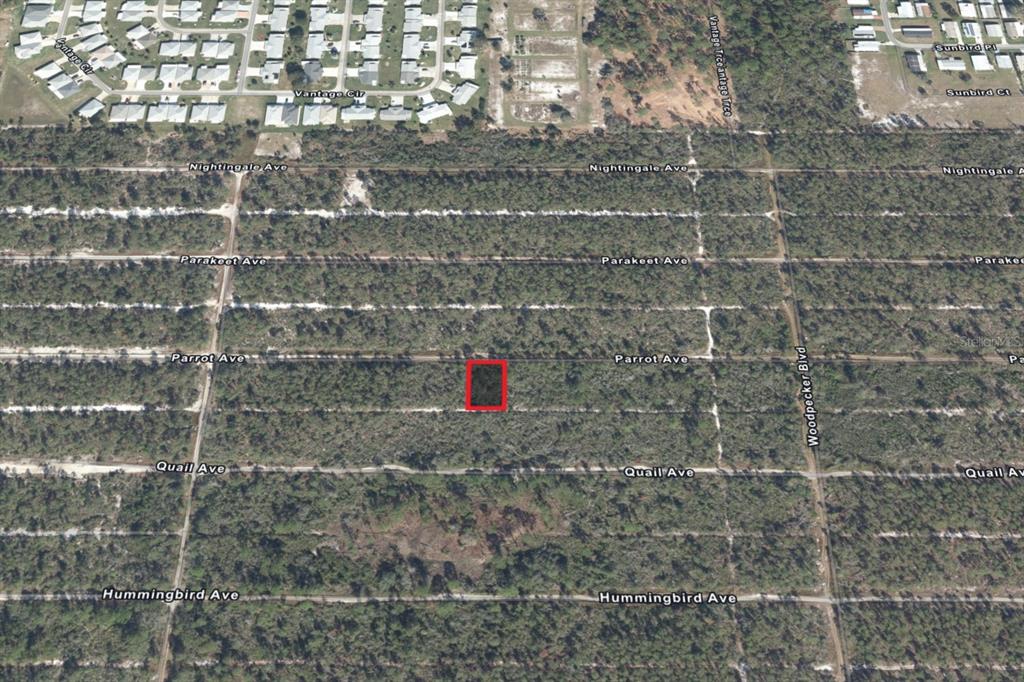 An aerial map view shows a rectangular plot of land highlighted in red — 533 PARROT AVENUE, SEBRING, FL