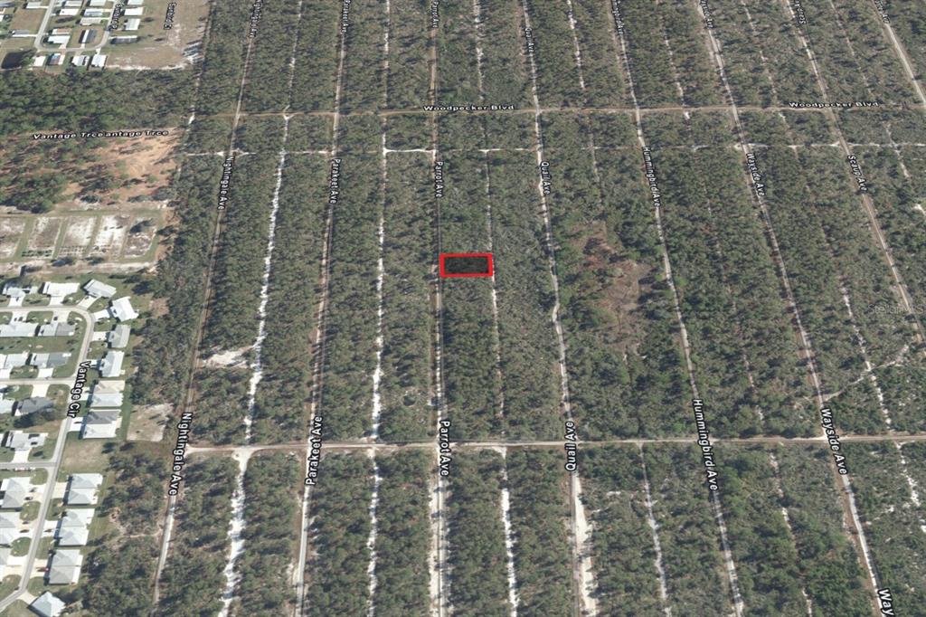 An aerial map shows a rectangular plot of land highlighted in red among wooded lots — 533 PARROT AVENUE, SEBRING, FL