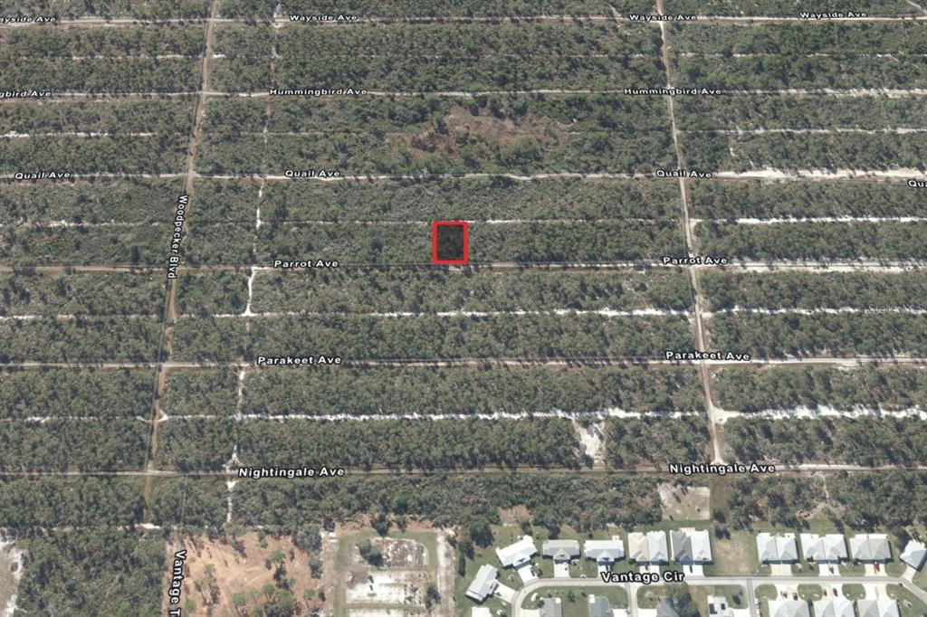 An aerial map view shows a rectangular plot of land highlighted in red among trees — 533 PARROT AVENUE, SEBRING, FL