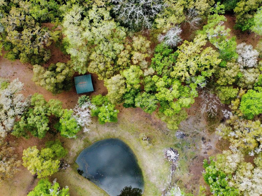 10820 SW 31ST WAY, WEBSTER, FL — photo 3 of 30