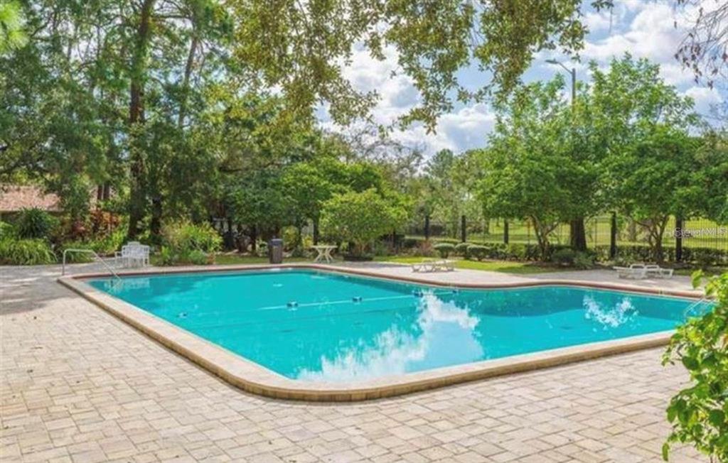 A rectangular swimming pool is surrounded by a paved patio and lush green trees — 7013 SALINAS COURT, TAMPA, FL