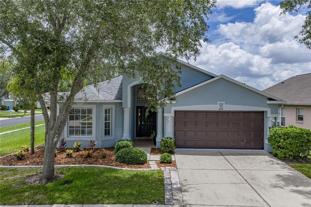A single-story house with a blue stucco exterior, a two-car garage, and a landscaped yard — 4224 BRANCHSIDE LANE, WESLEY CHAPEL, FL