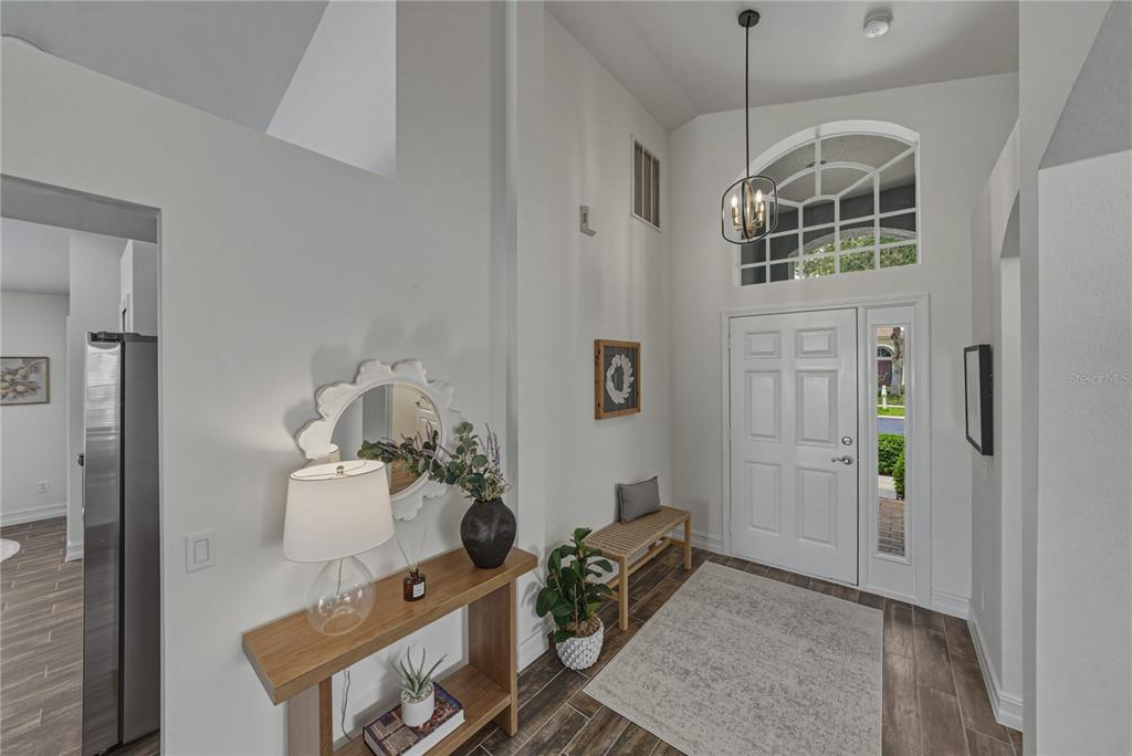 A bright entryway features a high ceiling, white walls, wood-look tile flooring, and a front door — 4224 BRANCHSIDE LANE, WESLEY CHAPEL, FL