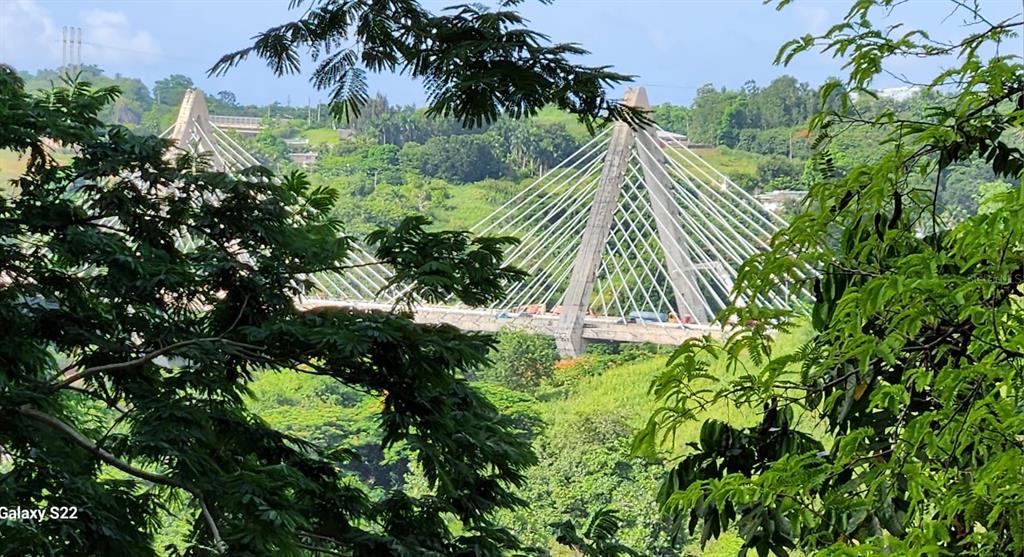 A cable-stayed bridge spans a lush, green valley surrounded by dense trees — CARRETERA 826 KM 1.2 INTERIOR, SECTOR HATITO, NARANJITO, PR