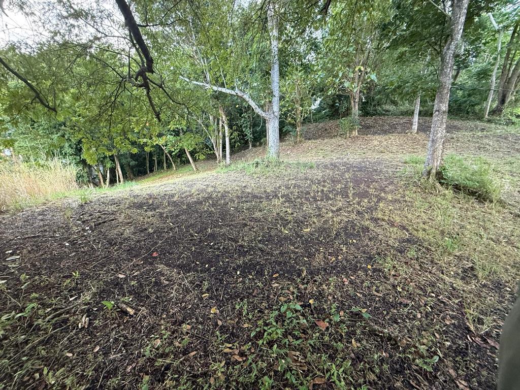 A sloped, partially cleared wooded lot with scattered trees and patches of exposed dark soil — CARRETERA 826 KM 1.2 INTERIOR, SECTOR HATITO, NARANJITO, PR