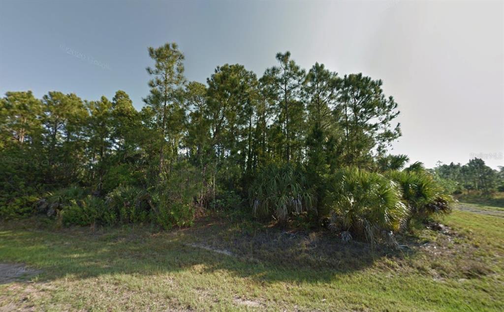 A wooded lot with pine trees and palmetto bushes under a clear sky — Lot 18 BRIARCLIFF AVENUE, NORTH PORT, FL