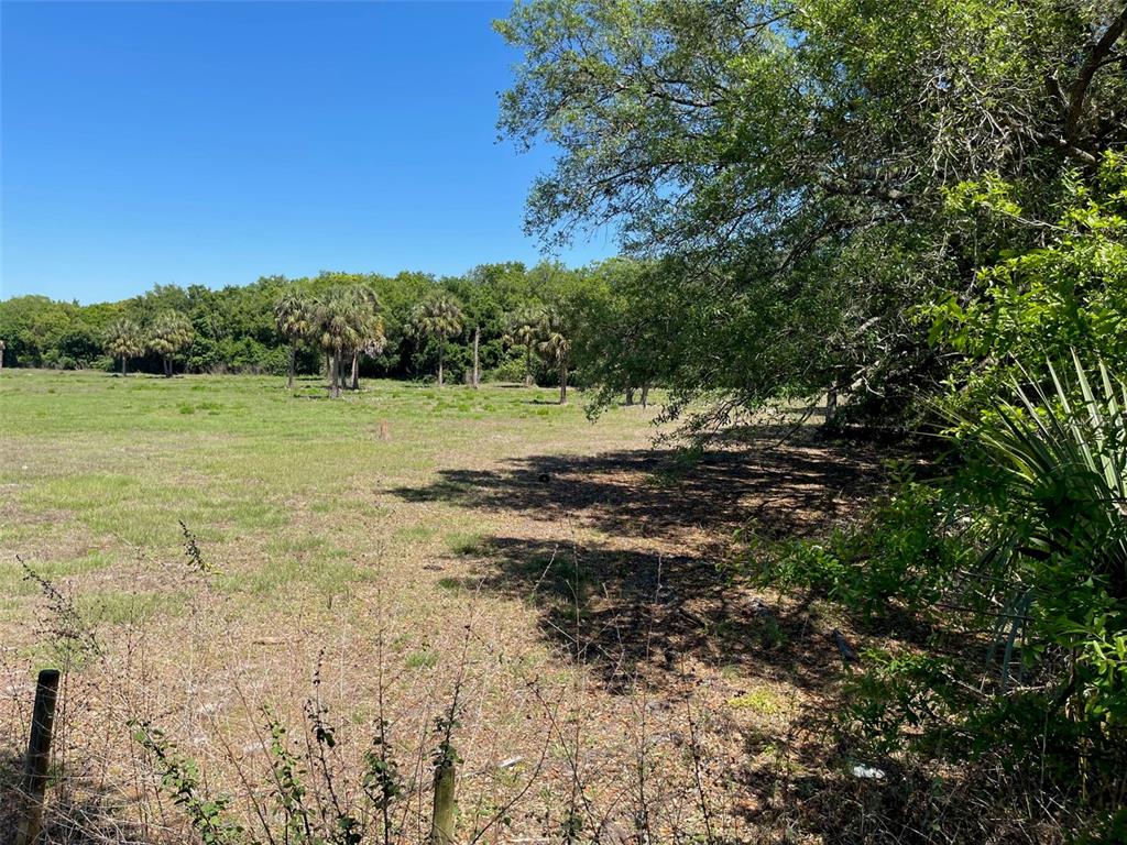 A grassy, open field is bordered by a line of trees and palm trees — 5414 16TH AVE S, TAMPA, FL