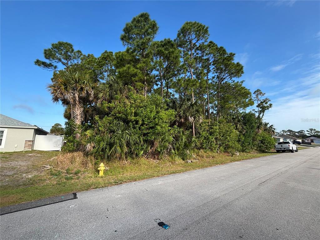 A vacant, tree-covered residential lot sits beside a paved road with a yellow fire hydrant — 556 BURLINGTON AVENUE NE, PALM BAY, FL