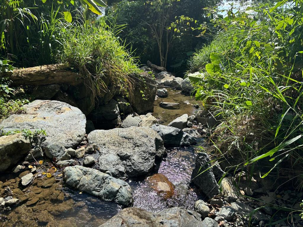 A small, rocky stream flows through a lush, green, wooded area — 31 INT 950 KM.HM 9.7 BO RIO BLANCO, NAGUABO, PR