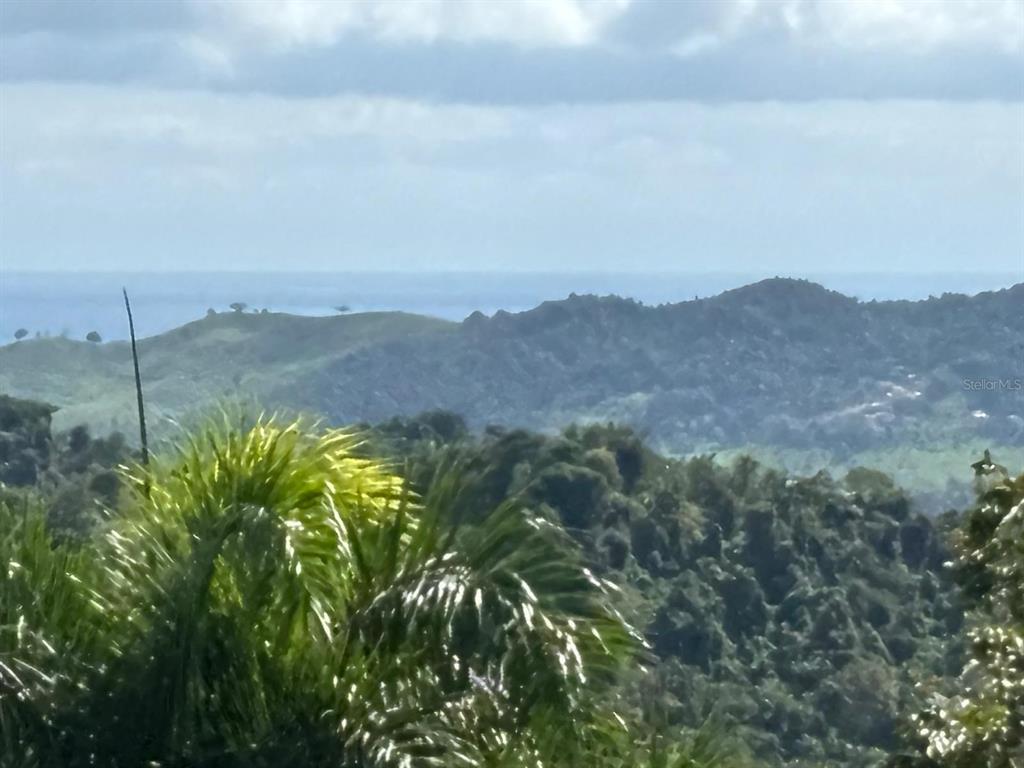 A view of rolling green hills and mountains under a cloudy sky with the ocean visible — 31 INT 950 KM.HM 9.7 BO RIO BLANCO, NAGUABO, PR