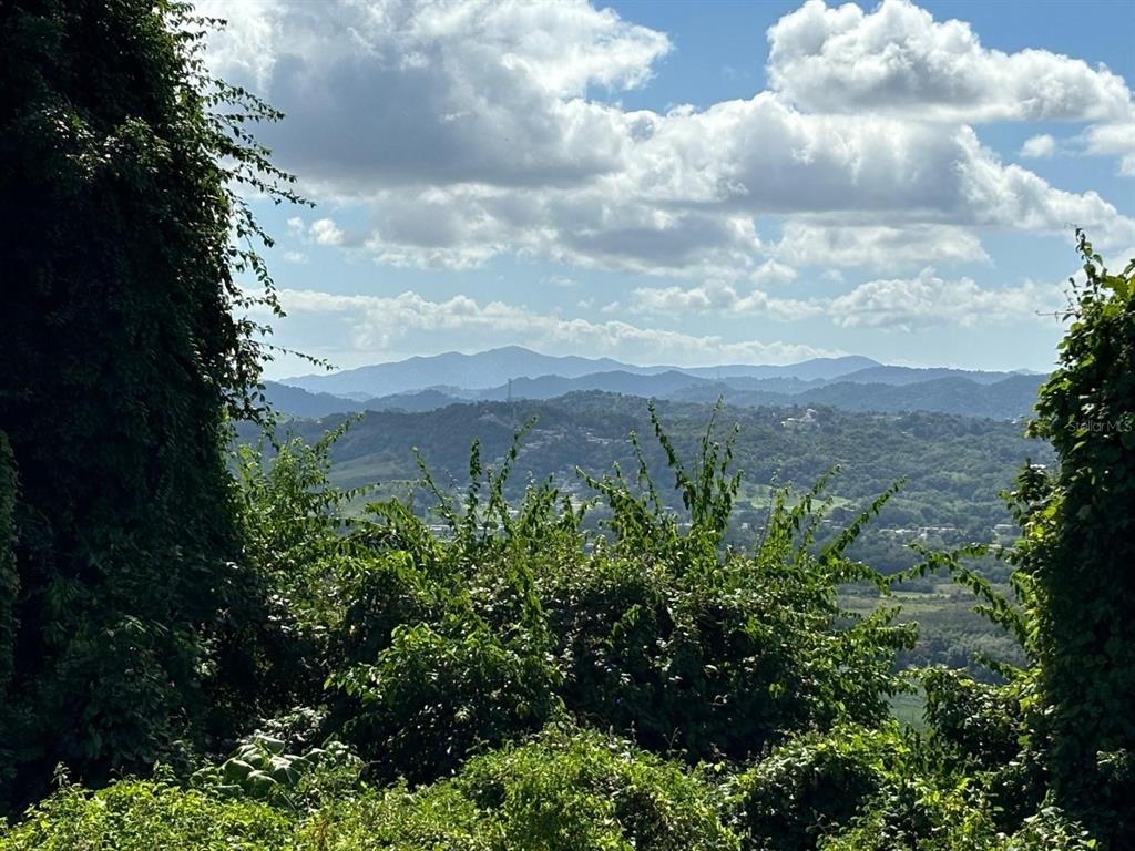 A view of rolling green mountains and a valley under a partly cloudy blue sky — 31 INT 950 KM.HM 9.7 BO RIO BLANCO, NAGUABO, PR