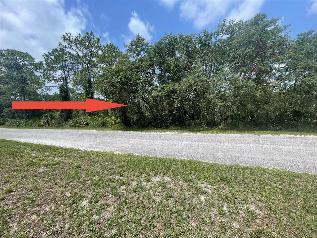 E CASHEW COURT, EUSTIS, FL — photo 2 of 4