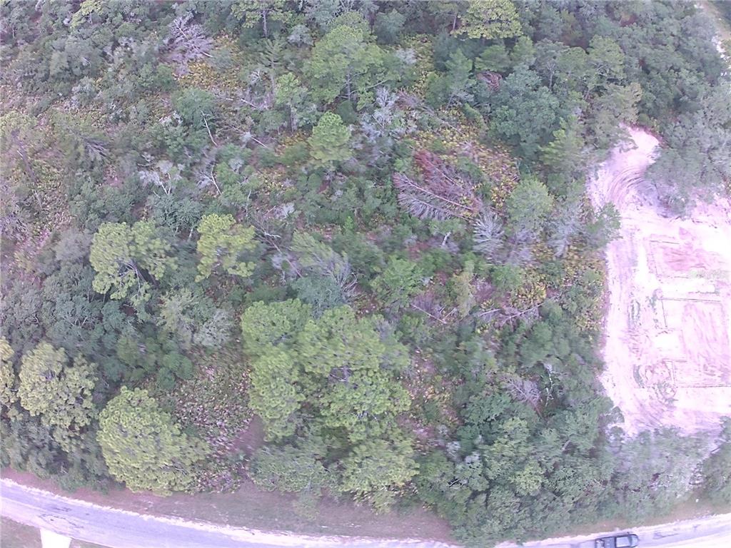 E CASHEW COURT, EUSTIS, FL — photo 3 of 4