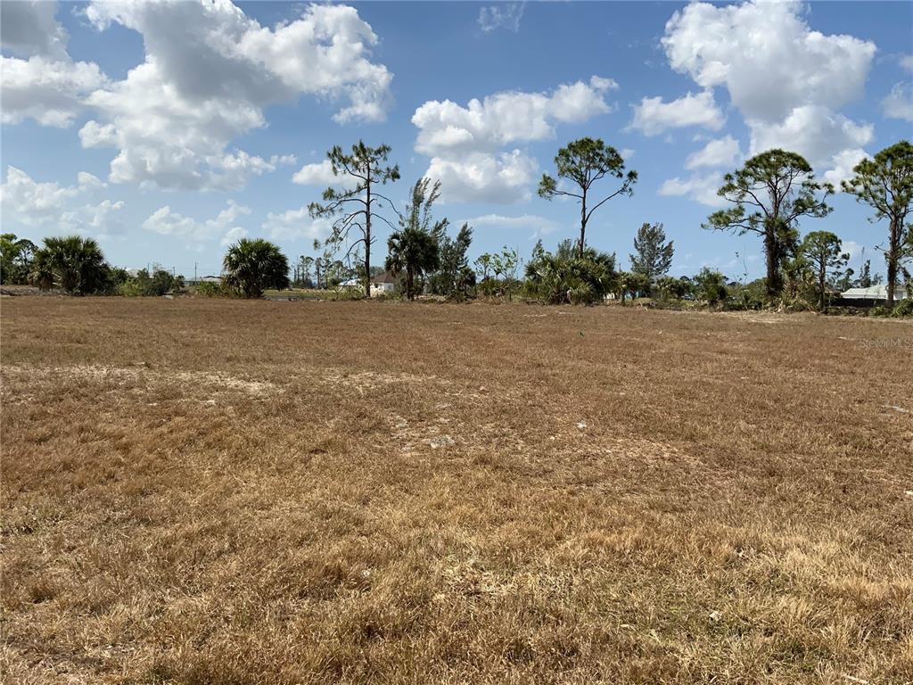 A flat, grassy vacant lot under a blue sky with scattered clouds and distant trees — 2113 NE 43RD LANE, CAPE CORAL, FL