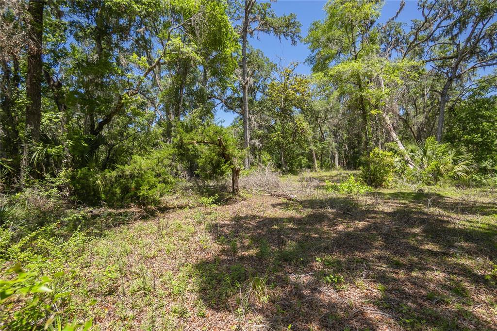 105 NE 239TH AVENUE, OLD TOWN, FL — photo 4 of 24
