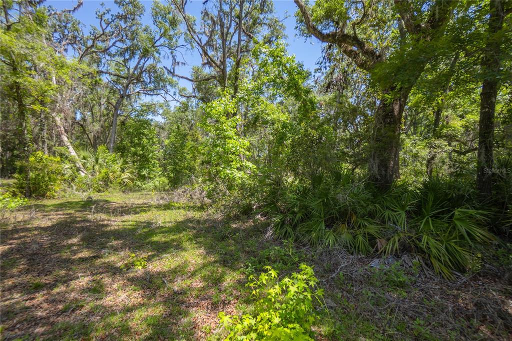 105 NE 239TH AVENUE, OLD TOWN, FL — photo 5 of 24