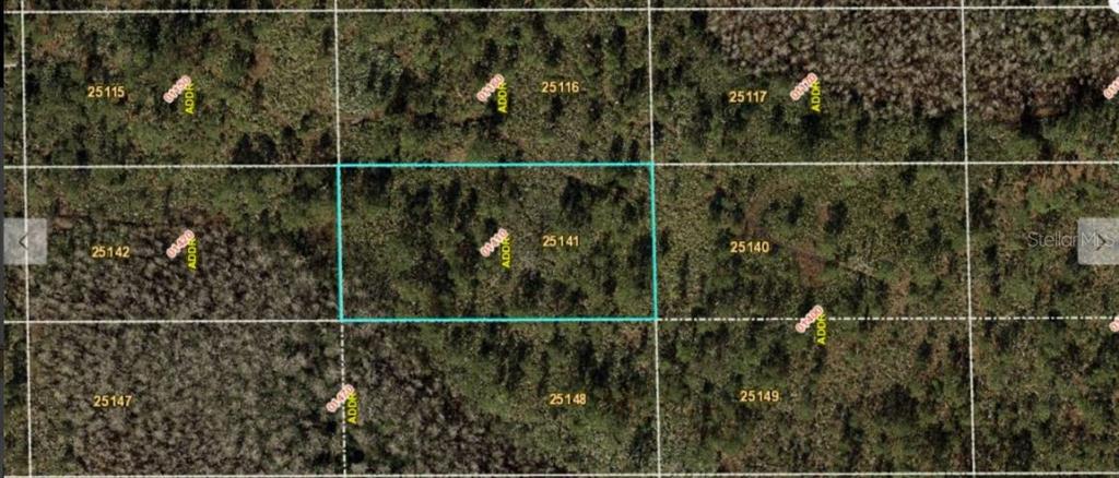 This is an aerial map view showing a rectangular plot of land highlighted in blue — DILL ROAD, ORLANDO, FL