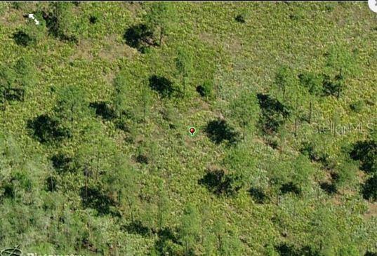 An aerial view of a wooded, undeveloped plot of land with scattered trees and vegetation — DILL ROAD, ORLANDO, FL
