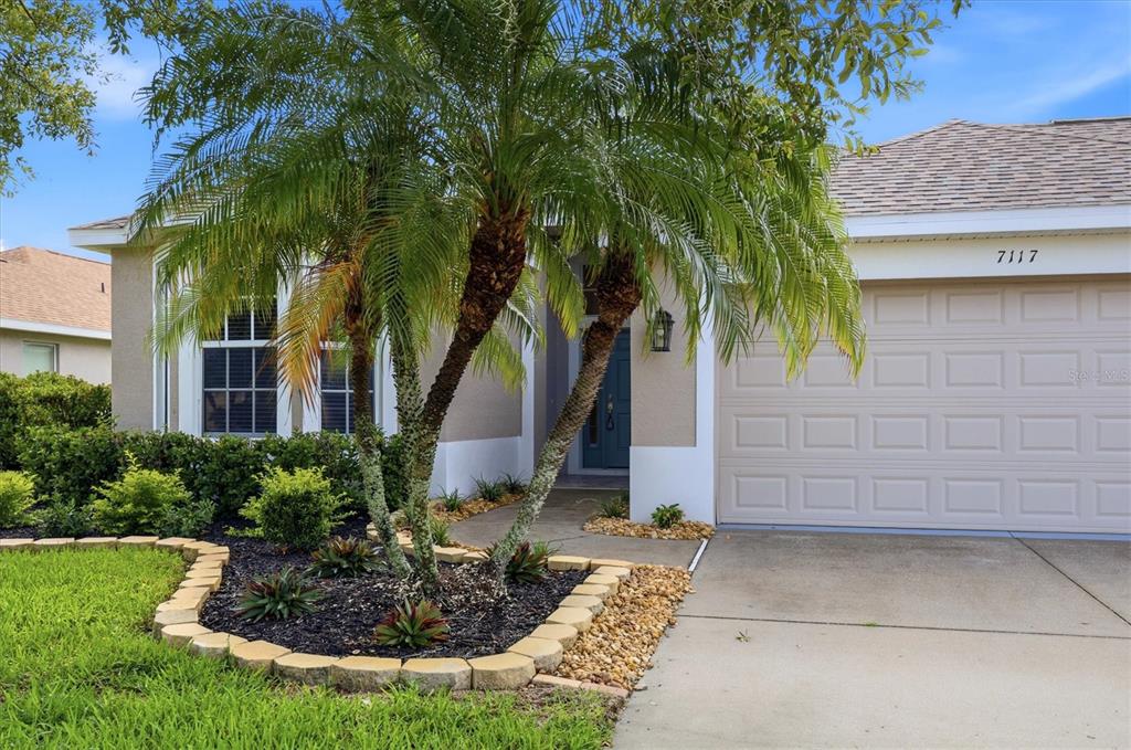 A single-story house exterior features a palm tree, a paved driveway, and a garage — 7117 50TH AVENUE CIRCLE E, PALMETTO, FL