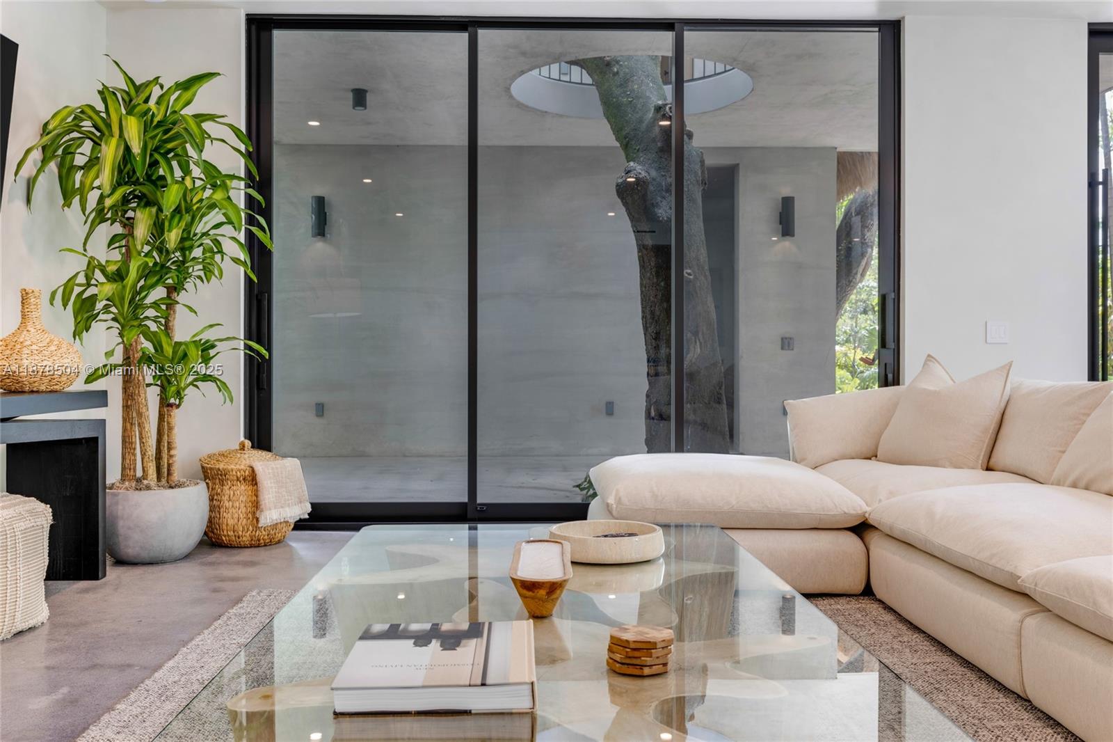A modern living room features a large glass coffee table, cream sofa, and a central tree — 1000 NW 9th Ct, Miami FL 33136, MIAMI, FL
