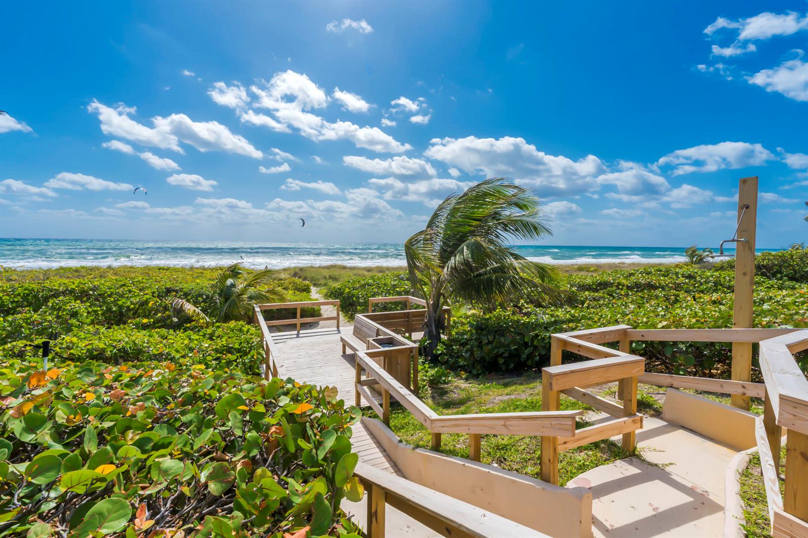 A wooden boardwalk leads through lush greenery toward a sandy beach under a blue sky — 2871 N Ocean Boulevard # C307, Boca Raton FL 33431, BOCA RATON, FL