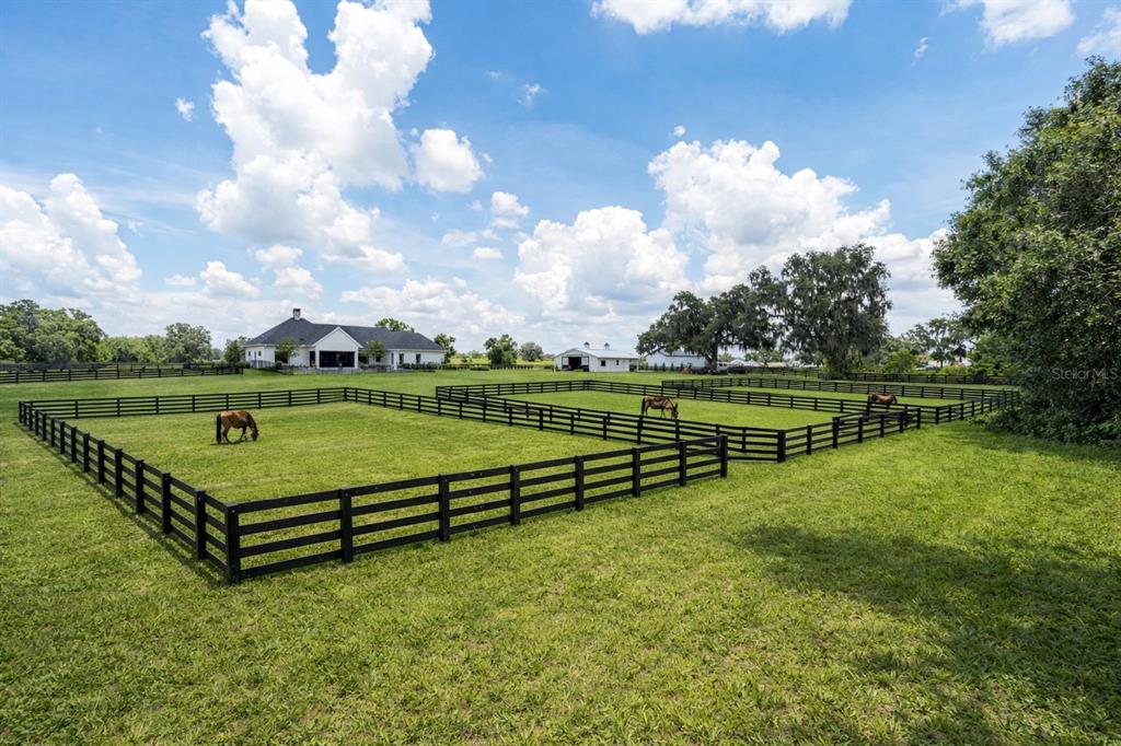 A grassy pasture with black fenced paddocks, horses, and a house in the background — 11098 NW 50TH LANE, OCALA, FL