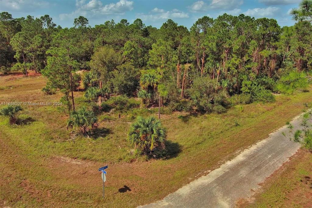 An aerial view shows a dirt road bordering a grassy lot with scattered palm trees — 158 NAGEL AVENUE S, LEHIGH ACRES, FL