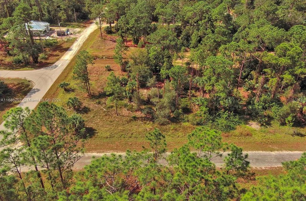 An aerial view shows a vacant, wooded lot bordered by two paved roads — 158 NAGEL AVENUE S, LEHIGH ACRES, FL