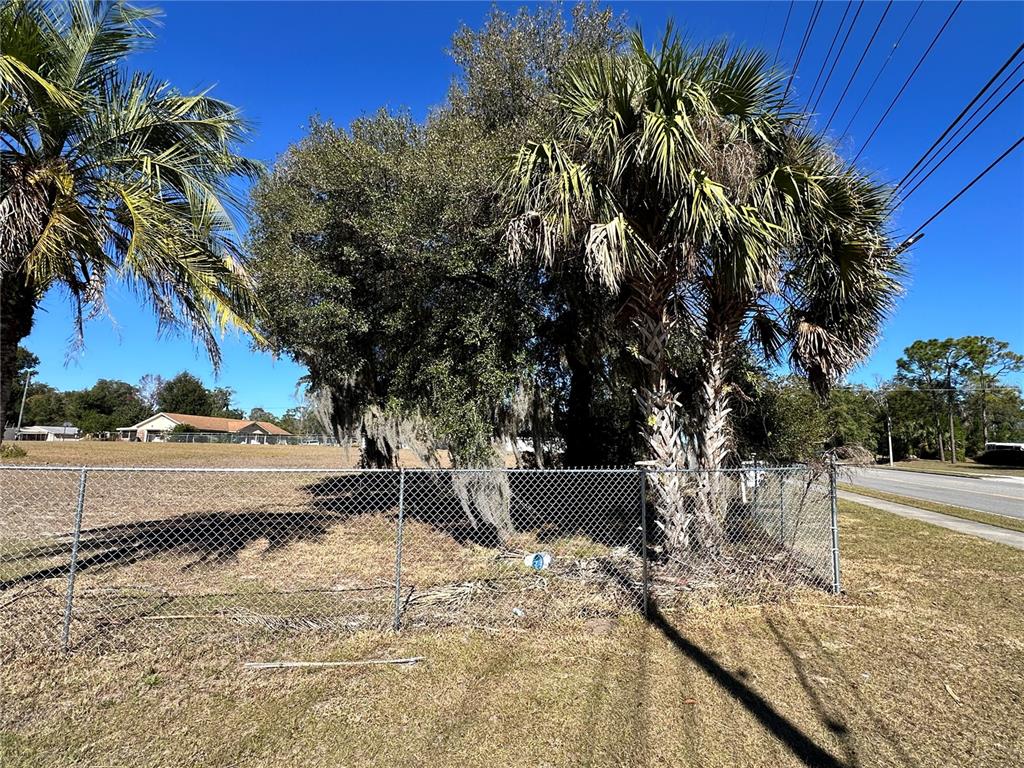 A chain-link fence encloses a grassy lot featuring several palm trees and a large oak — 750 N WEKIWA SPRINGS ROAD, APOPKA, FL