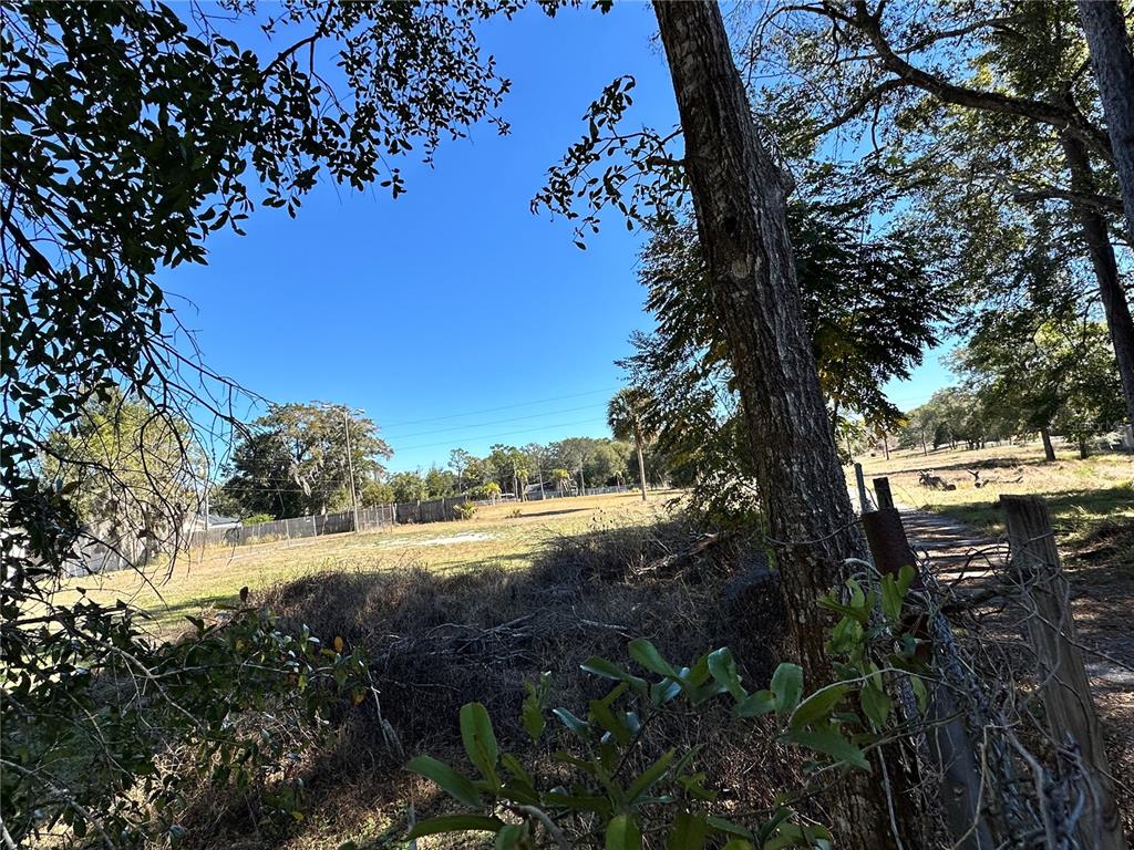 A view of a grassy, undeveloped lot with trees and a wire fence — 750 N WEKIWA SPRINGS ROAD, APOPKA, FL