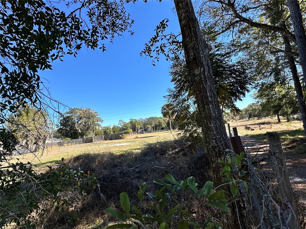 A view of a grassy, partially wooded vacant lot bordered by a wire fence — 750 N WEKIWA SPRINGS ROAD, APOPKA, FL