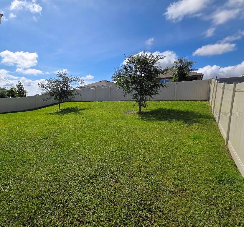A grassy backyard features two small trees enclosed by a tall tan vinyl fence — 5268 GREENHEART AVENUE, MOUNT DORA, FL