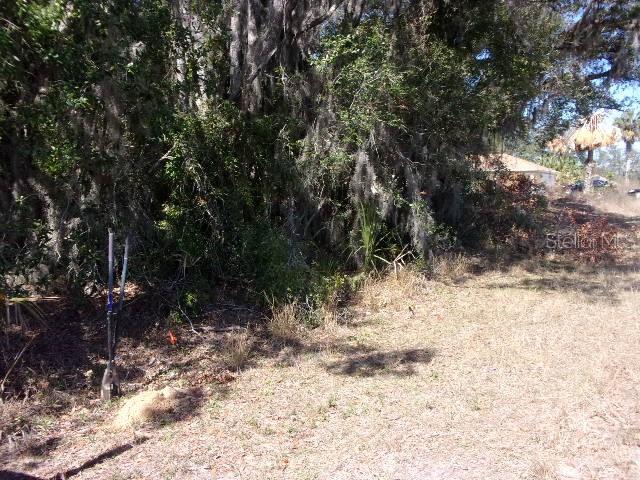 This outdoor view shows a wooded lot with a shovel stuck in the ground — SW 140TH AVENUE, OCALA, FL