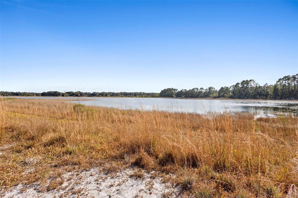 TBD SE 256TH AVENUE, UMATILLA, FL — photo 4 of 30