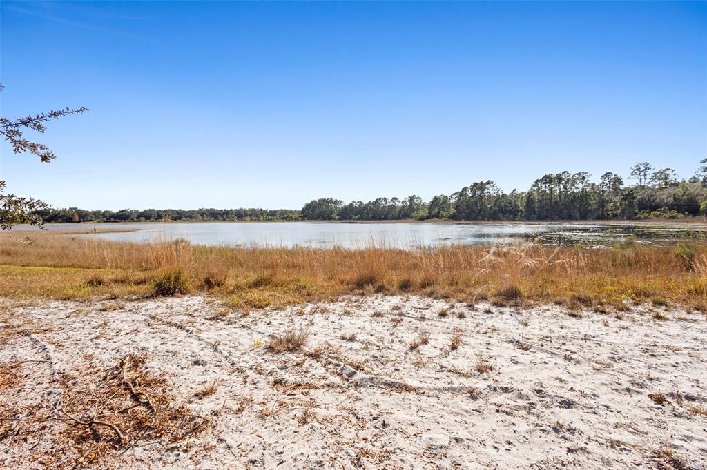 TBD SE 256TH AVENUE, UMATILLA, FL — photo 5 of 30