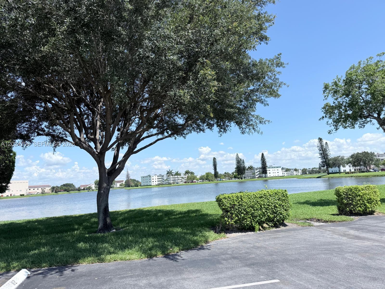 A large tree stands on a grassy lawn overlooking a lake with distant apartment buildings — 3069 Cornwall D # 3069, Boca Raton FL 33434, BOCA RATON, FL