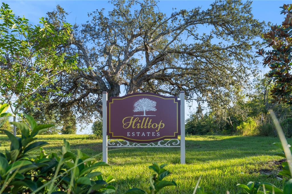 5560 PANORAMIC VIEW DRIVE, APOPKA, FL — photo 3 of 25
