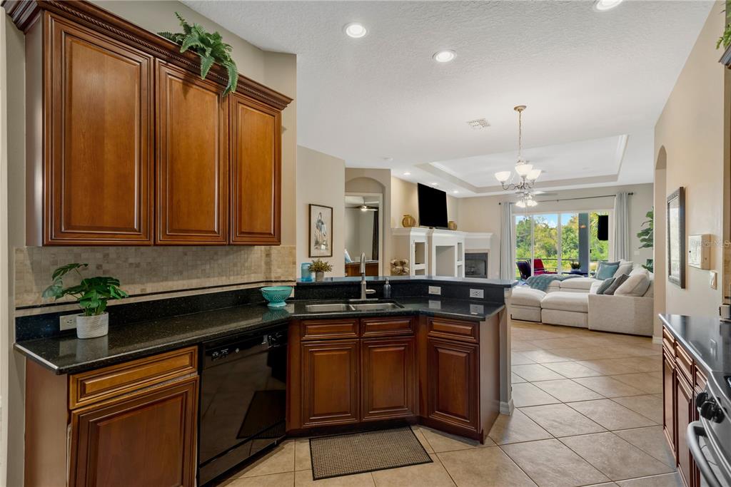 19908 BLUFF OAK BOULEVARD, TAMPA, FL — photo 4 of 30