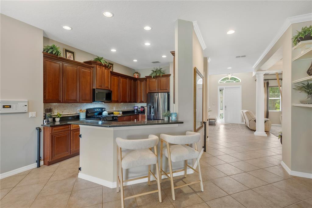 19908 BLUFF OAK BOULEVARD, TAMPA, FL — photo 5 of 30